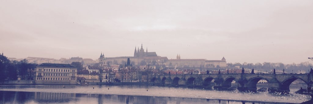 Lisamaus (KimiLee) banner