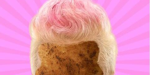 DailyPotato's profile banner image