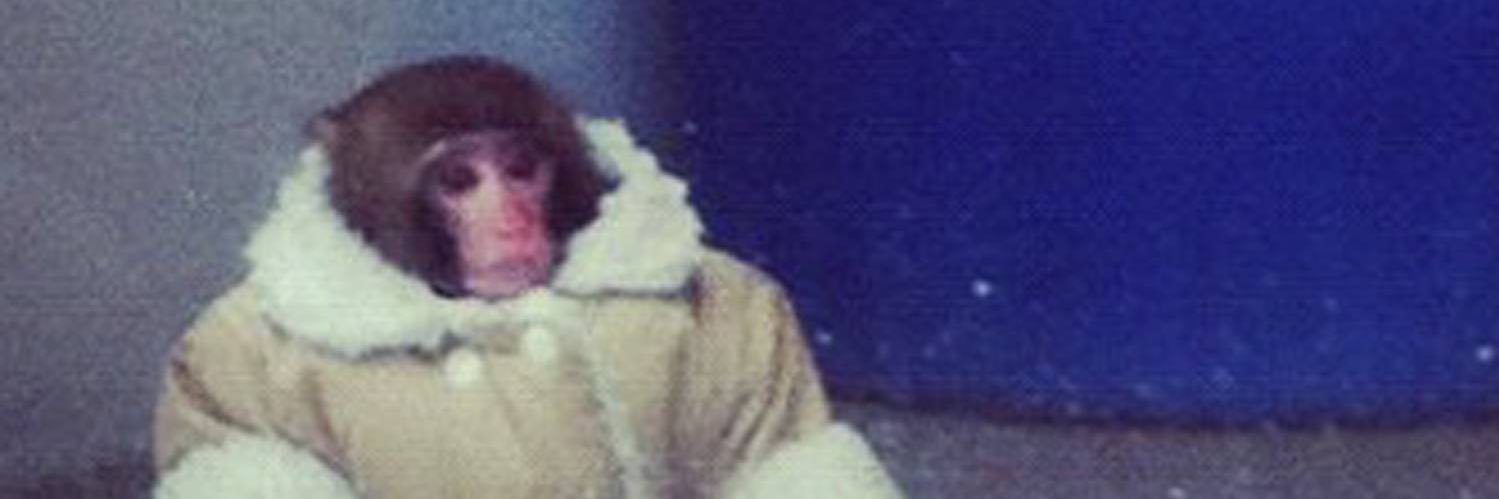 aahmediocre's profile banner image