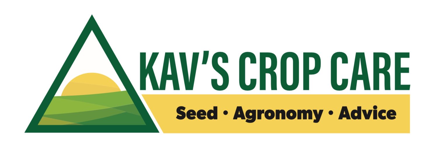 Mike Kavanaugh banner