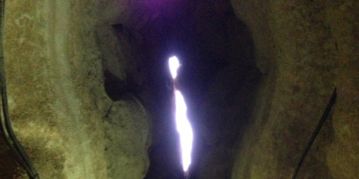 ƤЯᎥИC̤̈Ǝ   ᗩᗰƎƎЯ banner