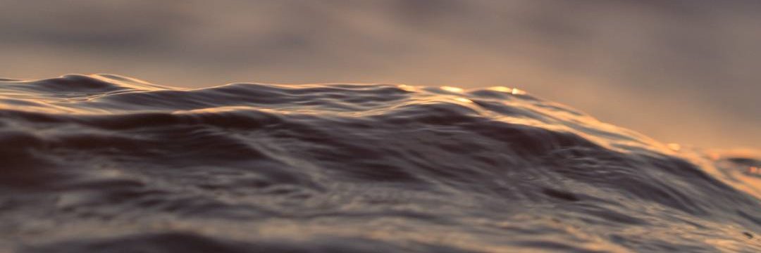 oscaar__19's profile banner image