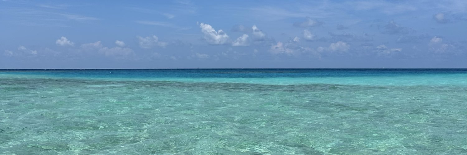 a1e0w12's profile banner image