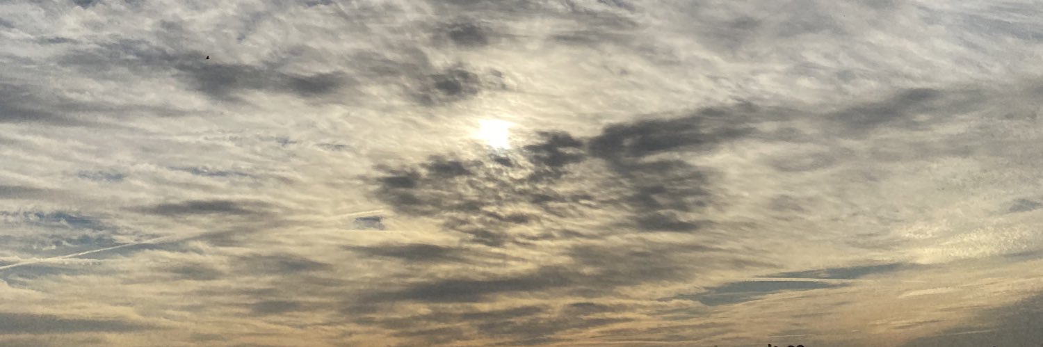 Jassmiinn2's profile banner image