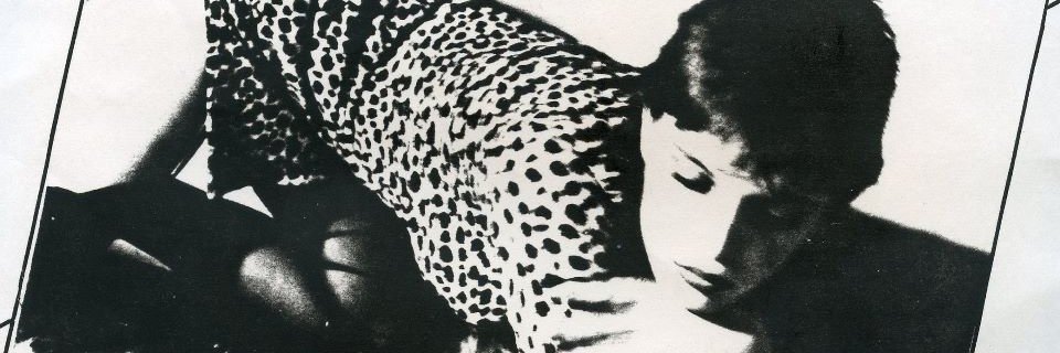 A Stable Sound banner