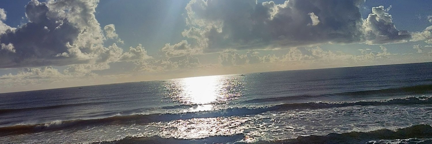emocoeseusenti's profile banner image