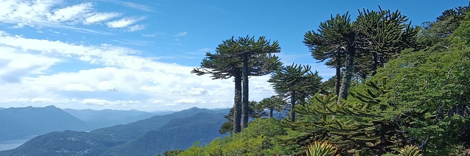 JaimeLebowski's profile banner image