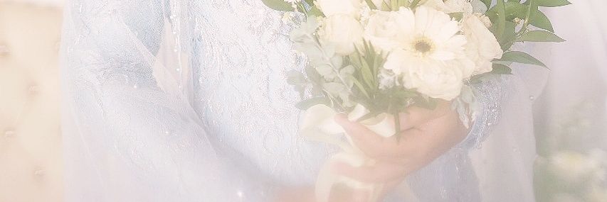 ayasiska's profile banner image