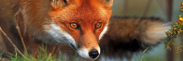 ghostblockz Profile Banner