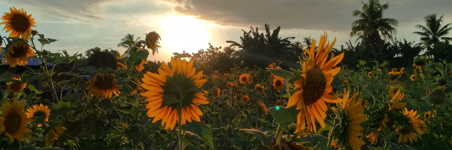 FebryRasmi's profile banner image