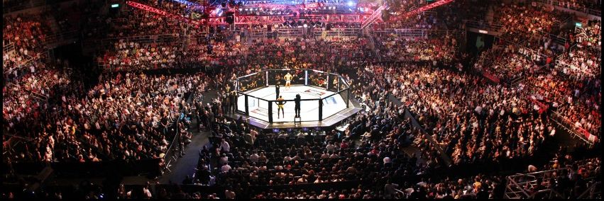 IridiumSportsAgency's banner