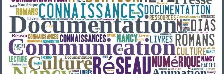 Prof doc Nancy-Metz banner
