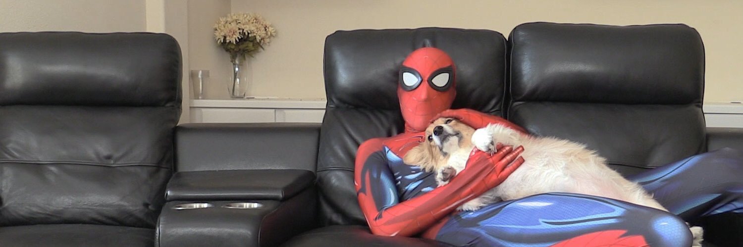 PopPunkCorgdad's profile banner image
