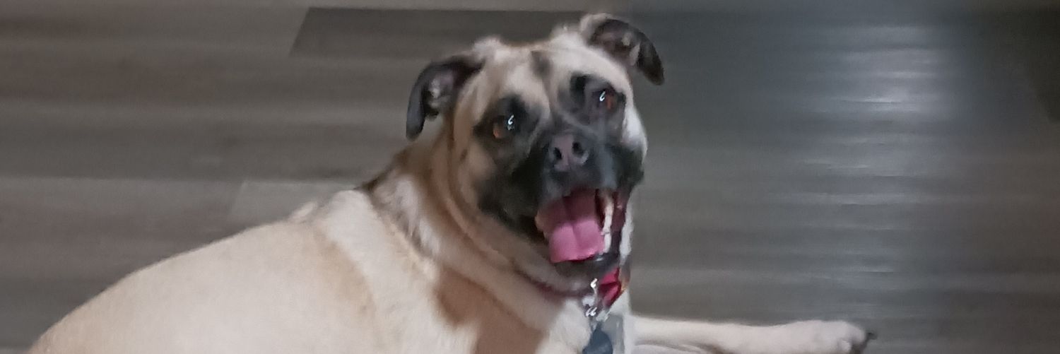 BIGEFATS's profile banner image