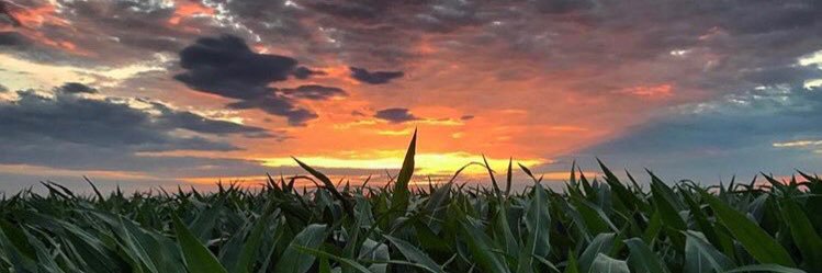 Randy Toohill banner