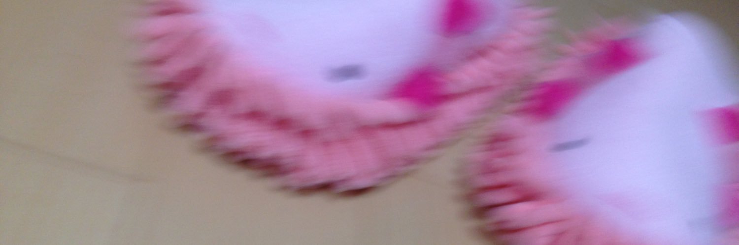punobochi's profile banner image