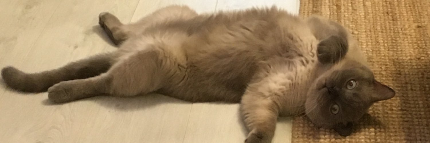 karyaoklay's profile banner image