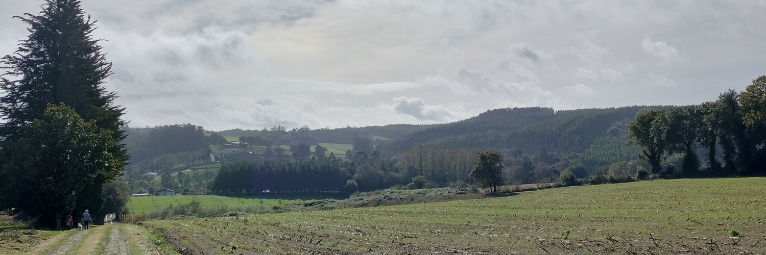 Breogán Blanco 🍍 banner