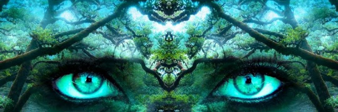 MrsKLay's profile banner image