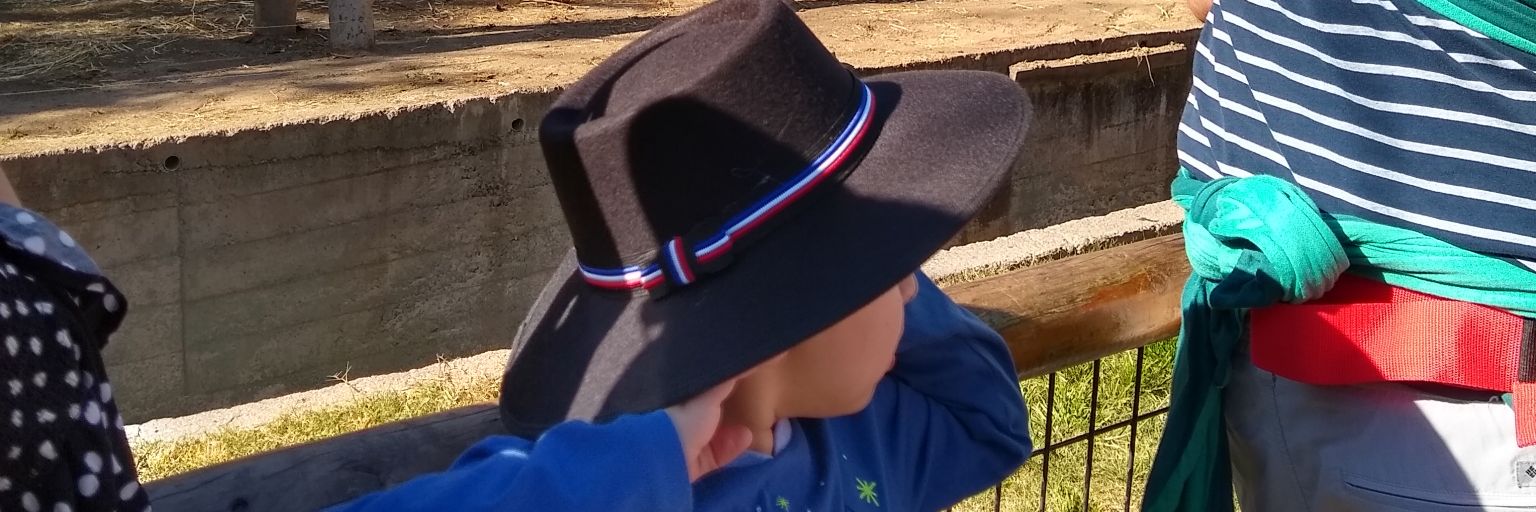 Dorcysp's profile banner image