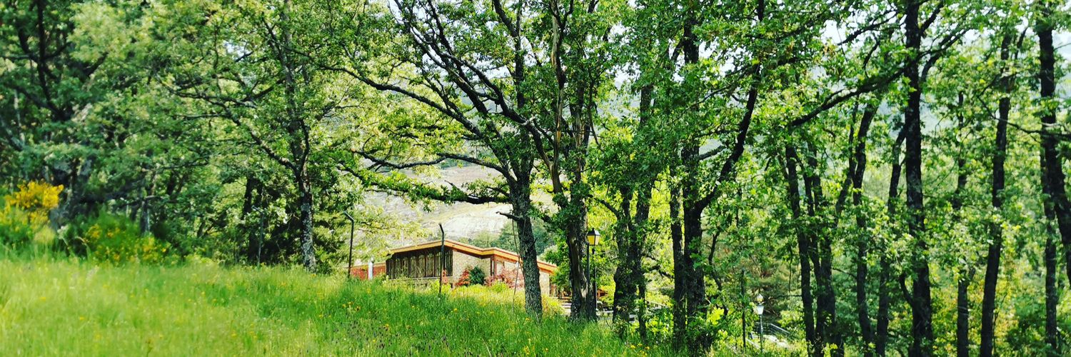 Ana Martínez banner