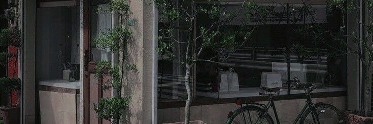 larinhamgomes's profile banner image