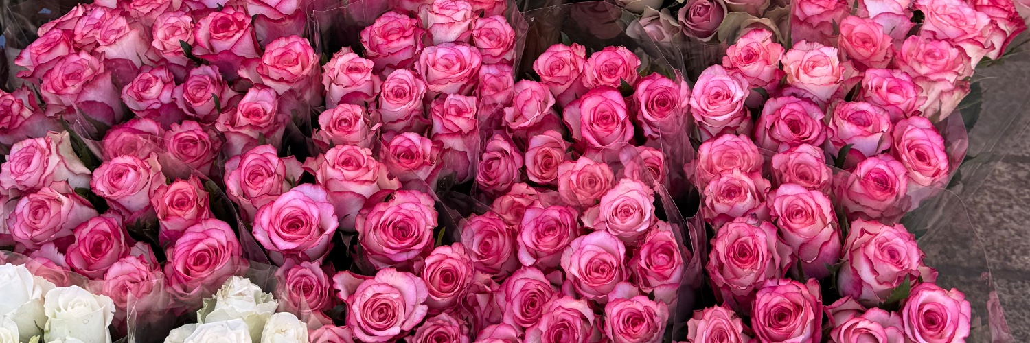 _martinezangela's profile banner image