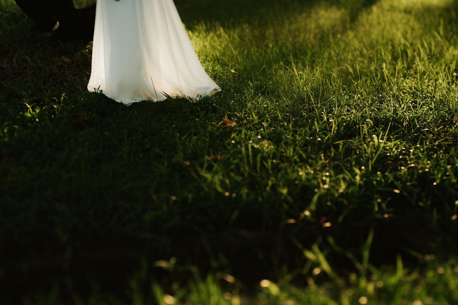 slstdwlstr's profile banner image