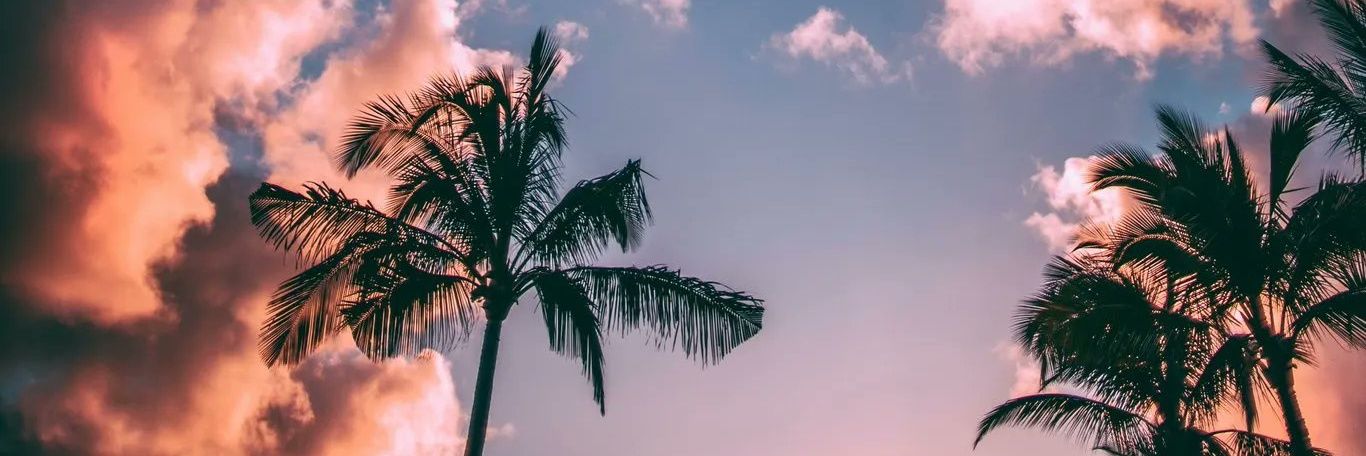 siktamish's profile banner image