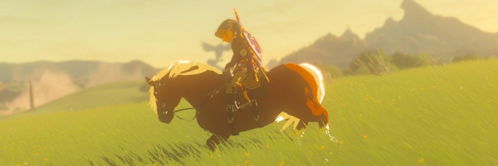 chaco_order's profile banner image