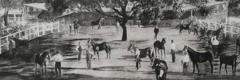 馬 Le Cheval♘♞ banner