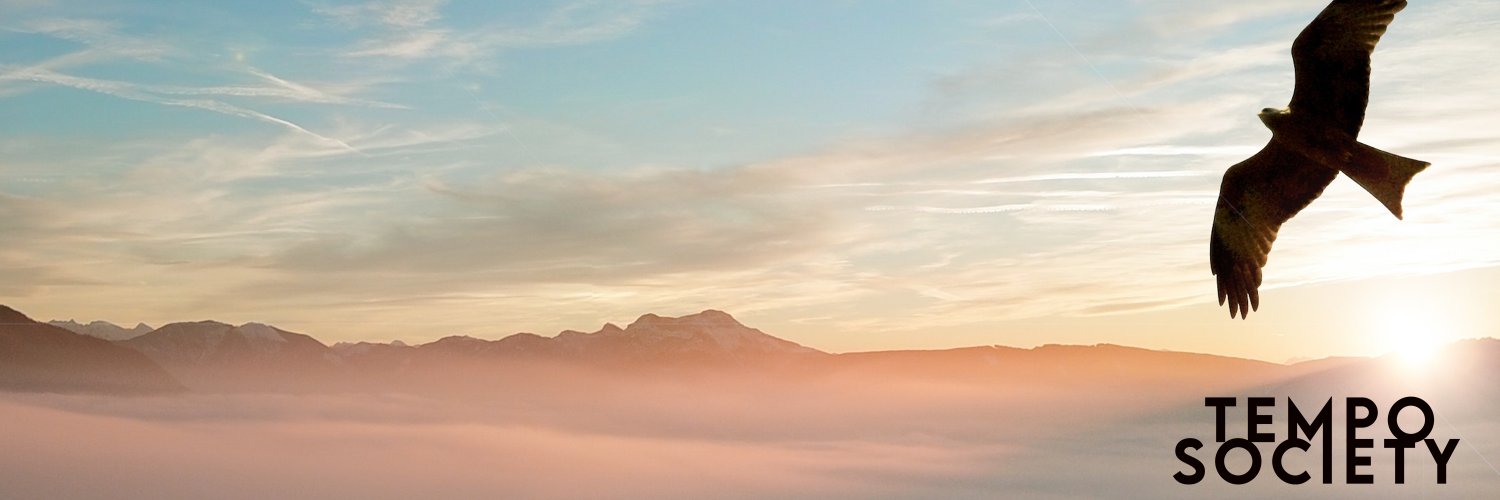 11point5's profile banner image