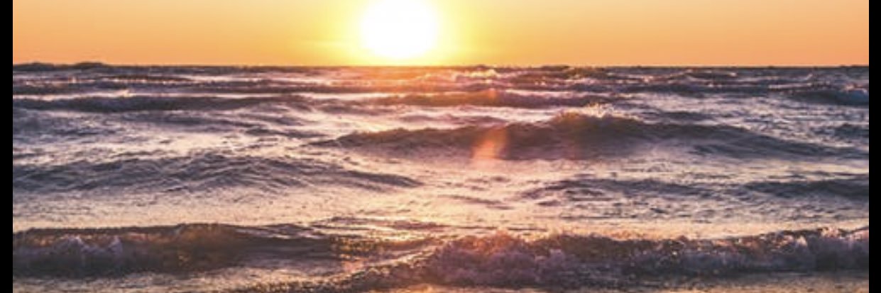 Inderjot Roopra banner