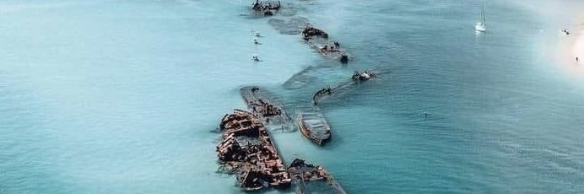 stuart trevor banner