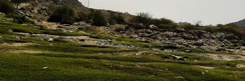 abomajd345's profile banner image