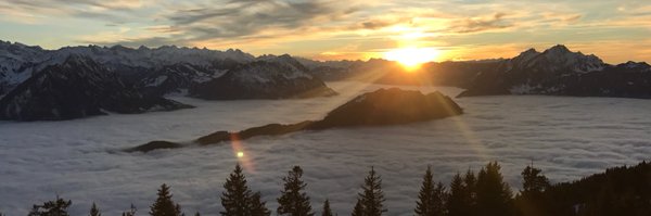 suschweizer Profile Banner