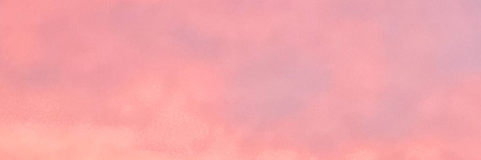 princenarry_'s profile banner image