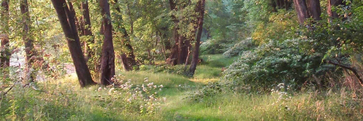 종호 BOT | Deb banner