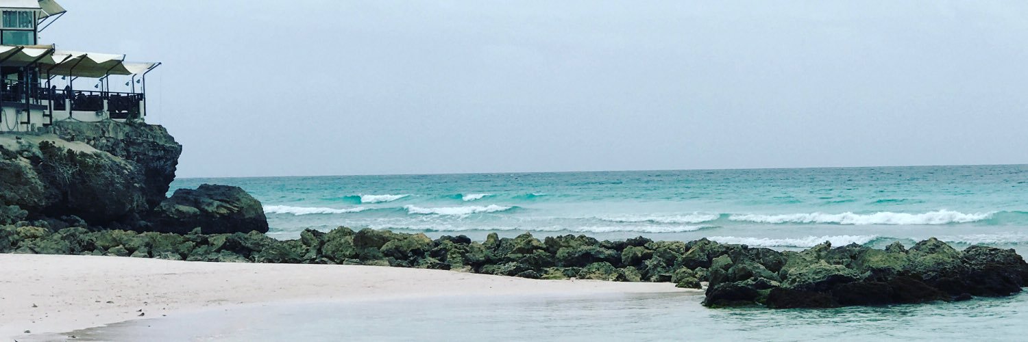 SadafInMarkham banner