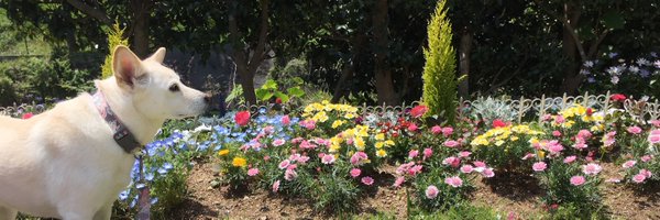 o_oyukiya Profile Banner