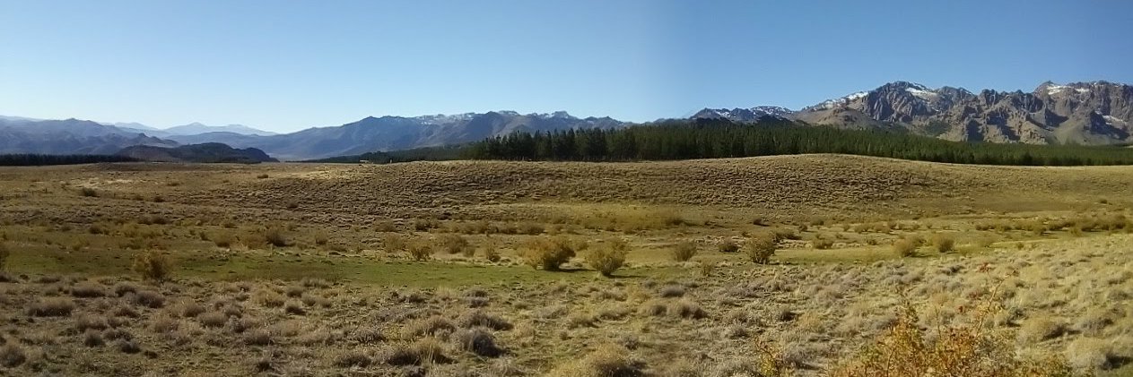 Jose Villacide banner