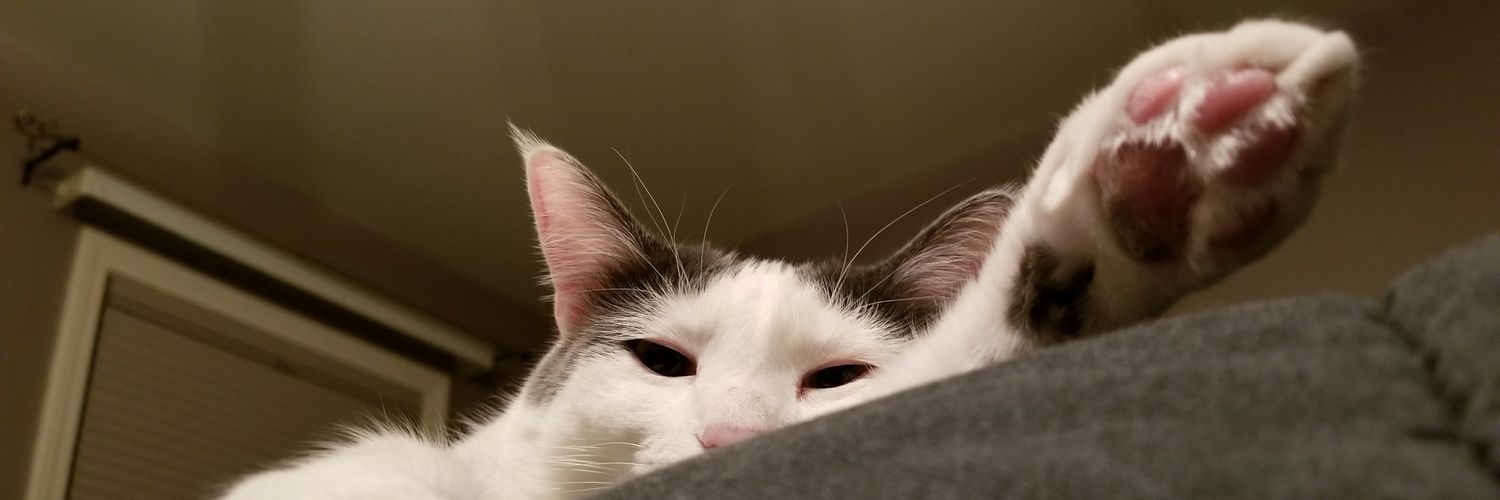 NaimaDBTV's profile banner image
