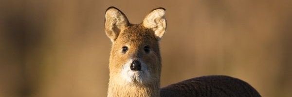 dkahwp27's profile banner image