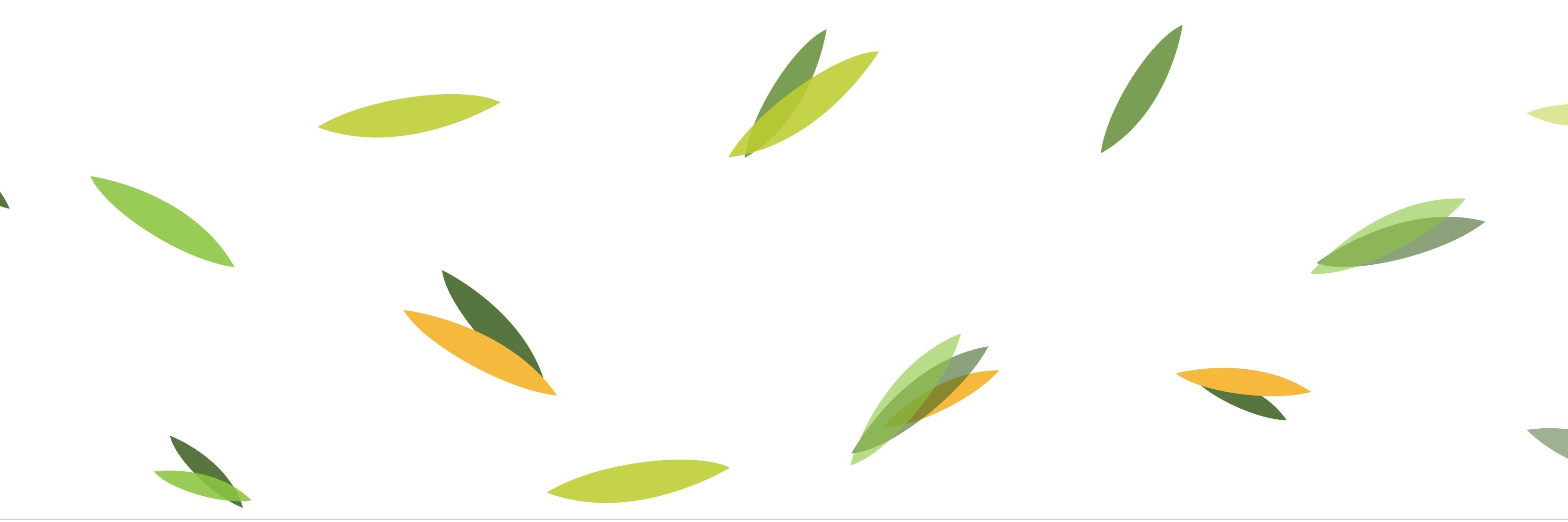 seed_software's profile banner image