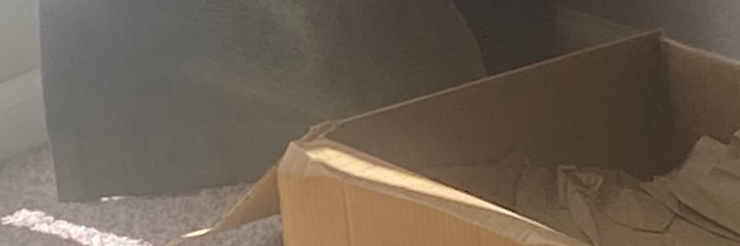CoolHandHayley's profile banner image
