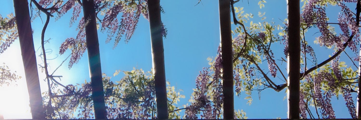 o34o18's profile banner image