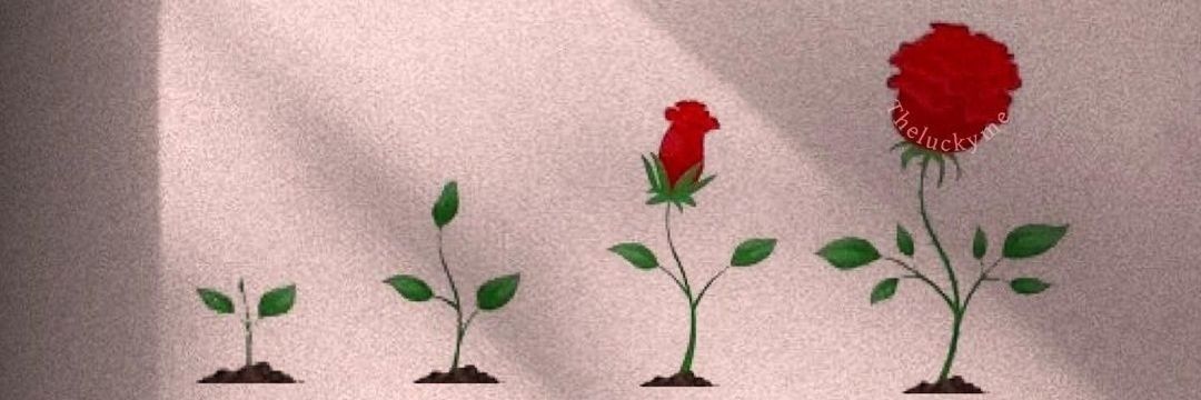 noah_olumide's profile banner image
