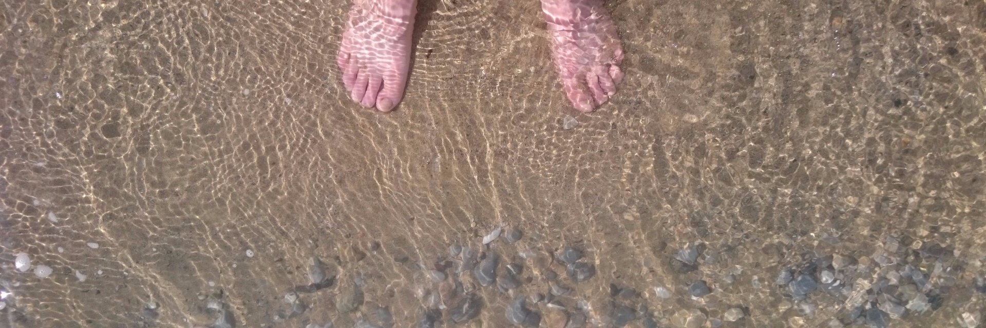 Prof de dates 🌻 banner