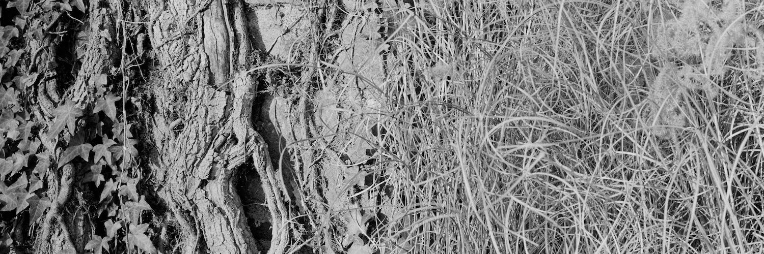follow mayapontone.bsky.social banner
