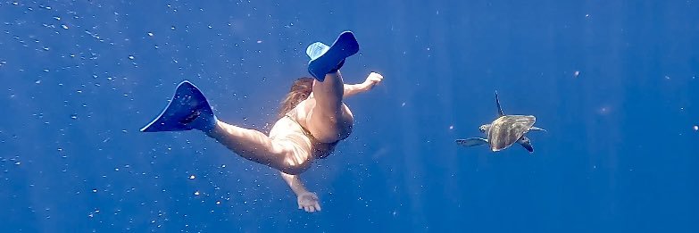Sofía Bustillo banner